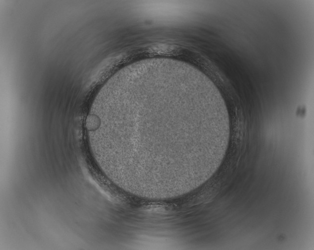 X0000112380738200909241214