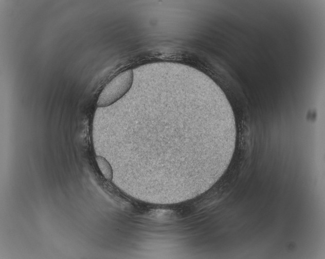 X0000112380748200909241214