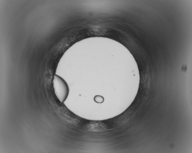 X0000112380752200909241214