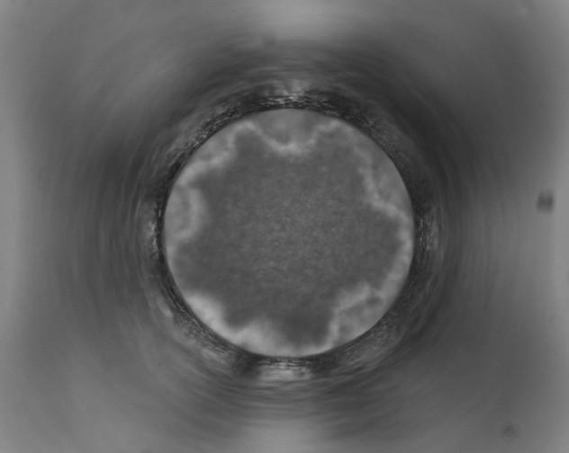 X0000112380754200909241214