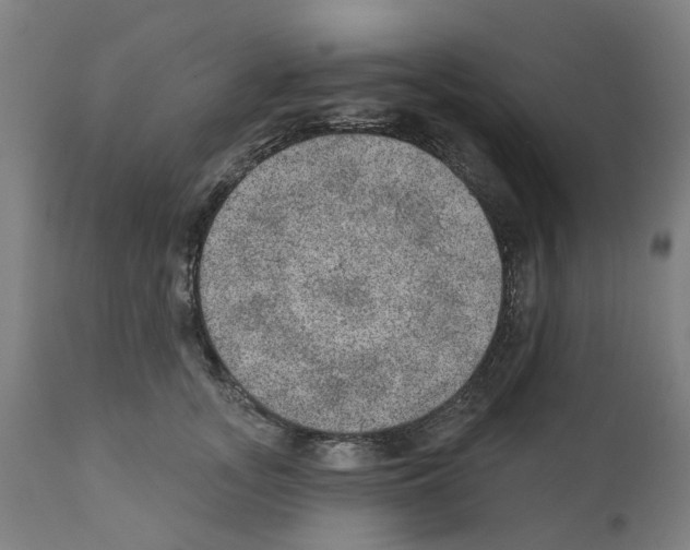 X0000112380755200909241214