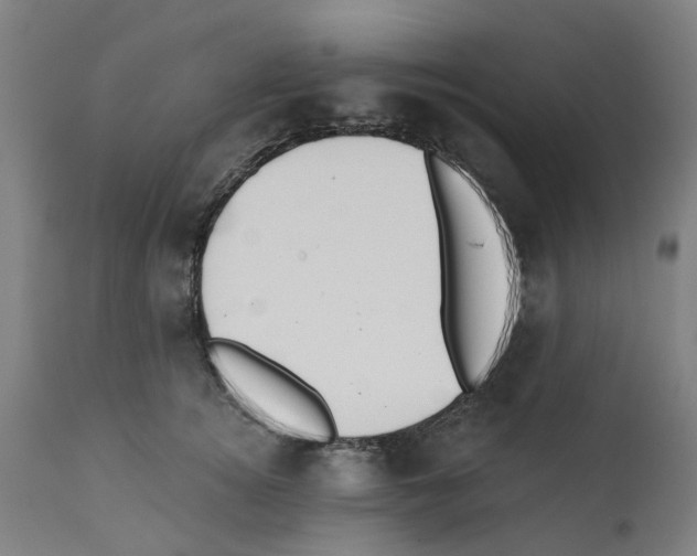 X0000112380756200909241214