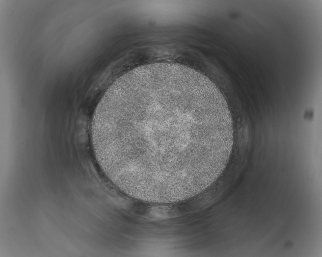 X0000112380757200909241214