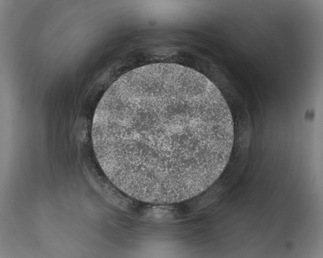 X0000112380758200909241214