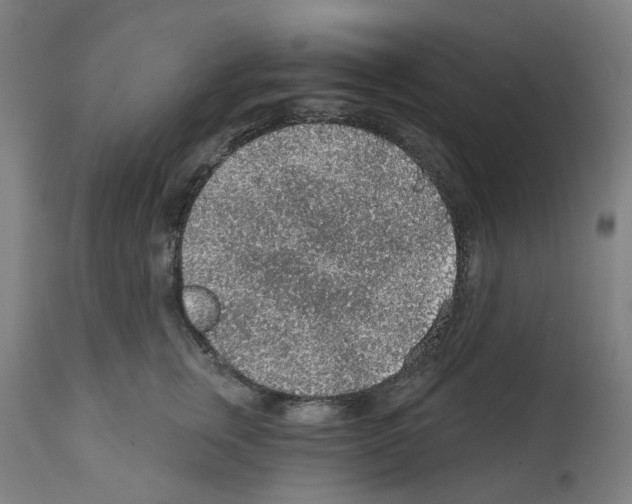 X0000112380759200909241214