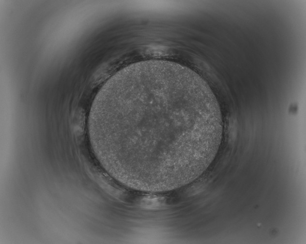 X0000112380760200909241214