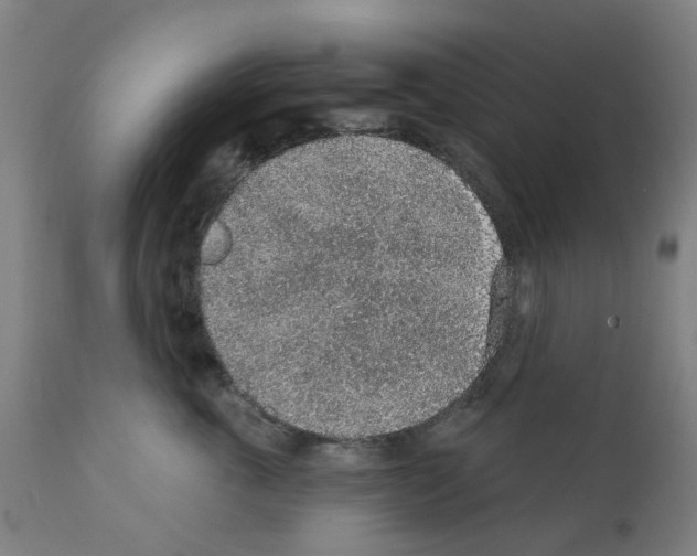 X0000112380763200909241214