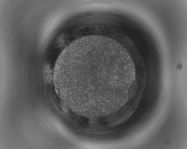 X0000112380766200909241215