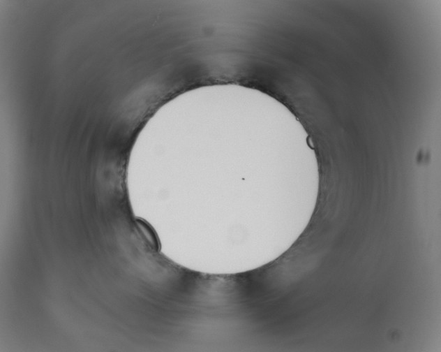 X0000112380768200909241215