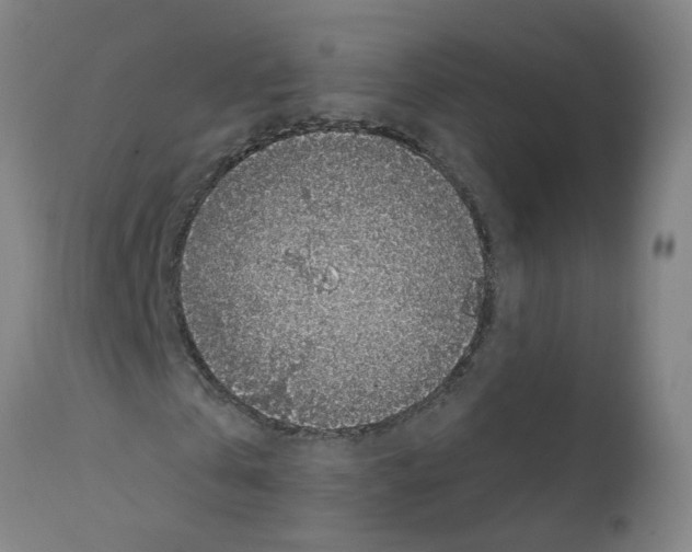 X0000112380769200909241214