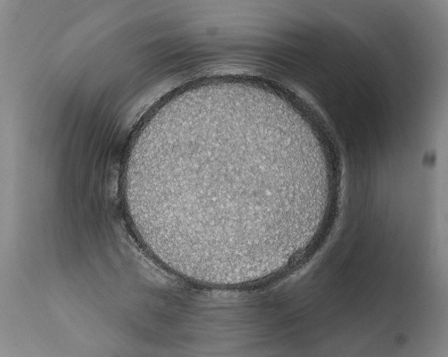 X0000112380777200909241214