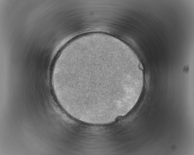 X0000112380780200909241214