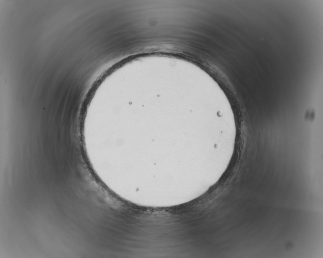 X0000112380784200909241214