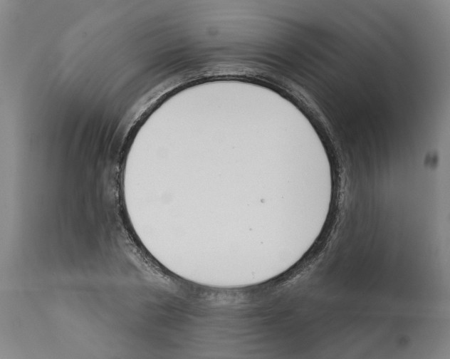 X0000112380786200909241213