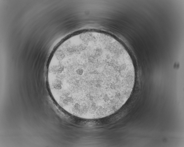 X0000112380791200909241213