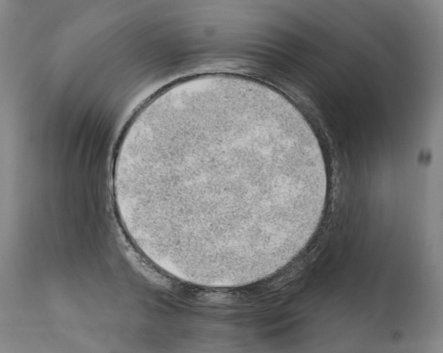 X0000112380792200909241213