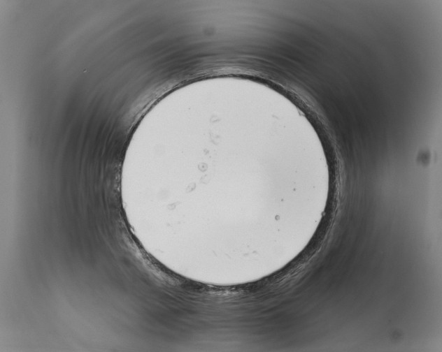 X0000112380793200909241213