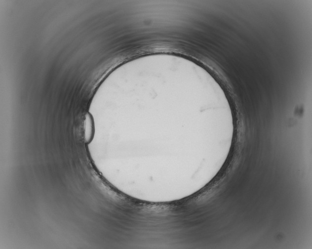 X0000112380801200909241213