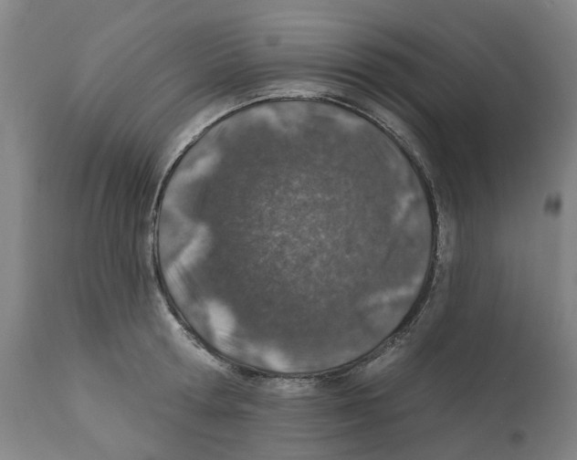 X0000112380802200909241213