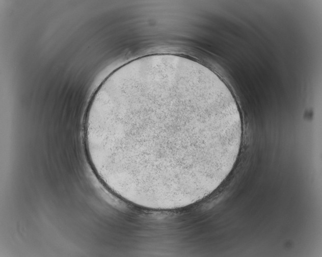 X0000112380803200909241213