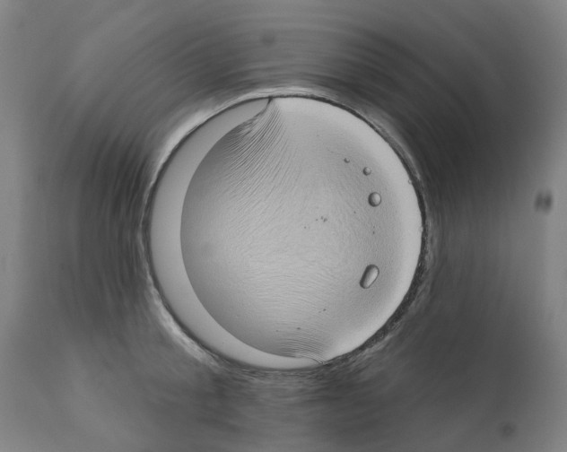 X0000112380805200909241213