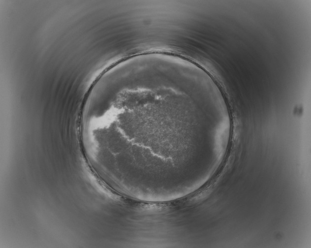 X0000112380806200909241213