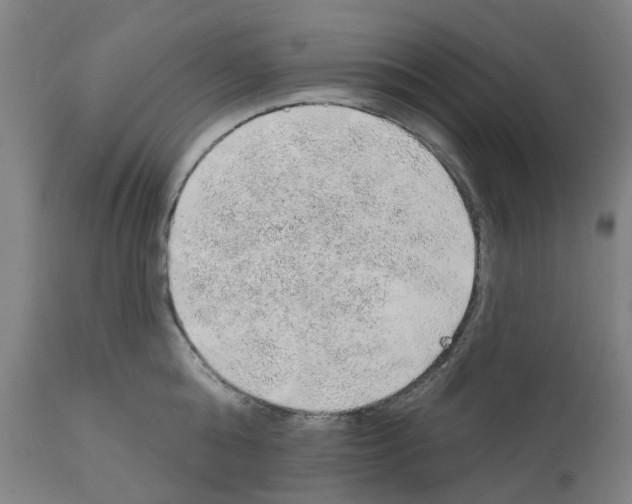 X0000112380808200909241213