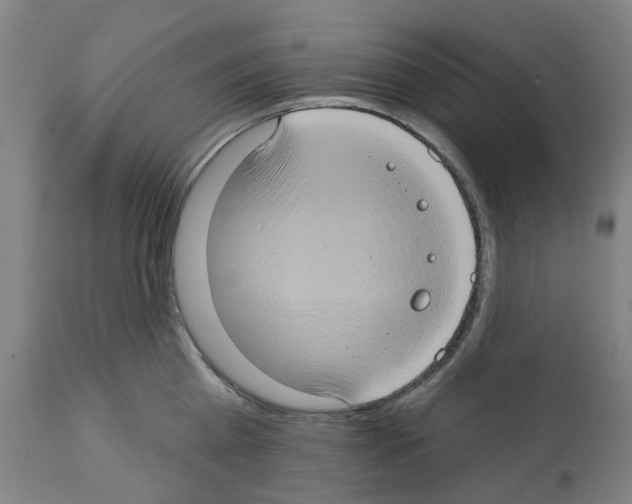 X0000112380809200909241213