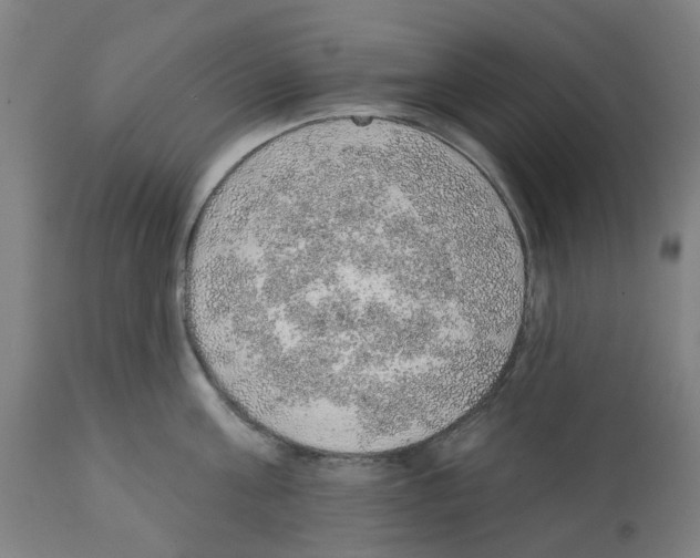 X0000112380811200909241213