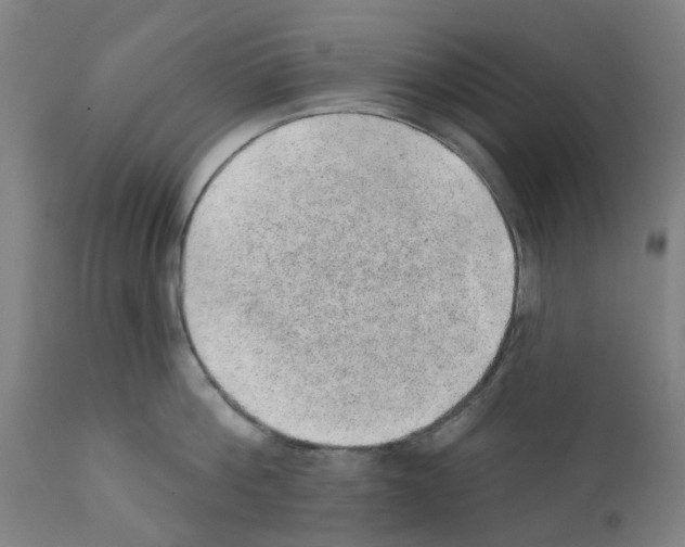 X0000112380812200909241213