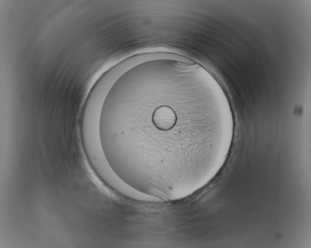 X0000112380813200909241213