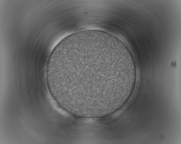 X0000112380814200909241213