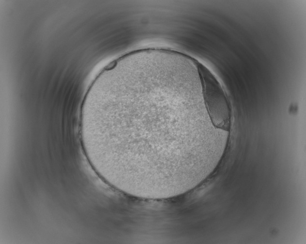 X0000112380815200909241213