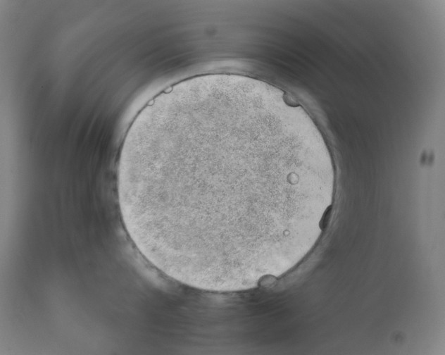 X0000112380816200909241213