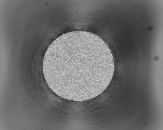 X0000112380817200909241212