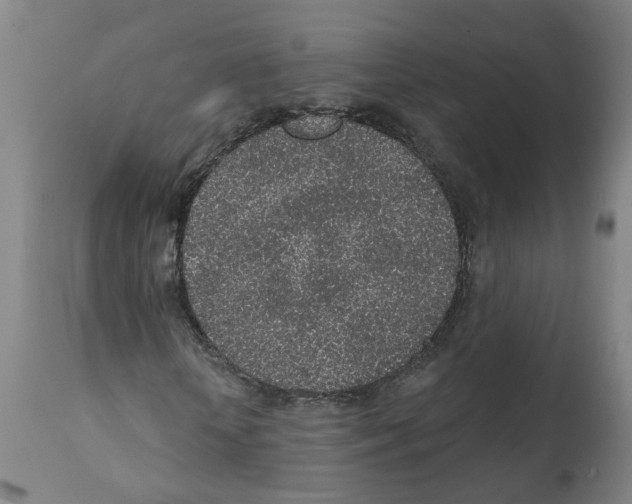 X0000112380818200909241212