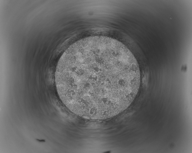 X0000112380819200909241212