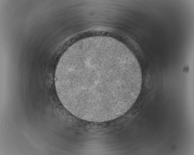 X0000112380821200909241212