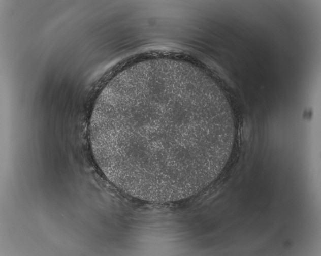 X0000112380822200909241212