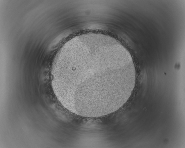 X0000112380824200909241213