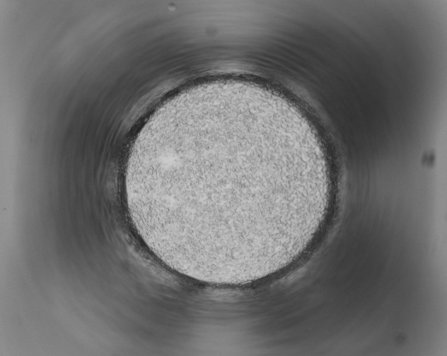 X0000112380825200909241213