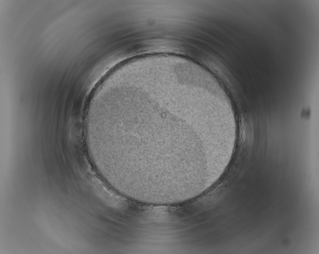 X0000112380828200909241213