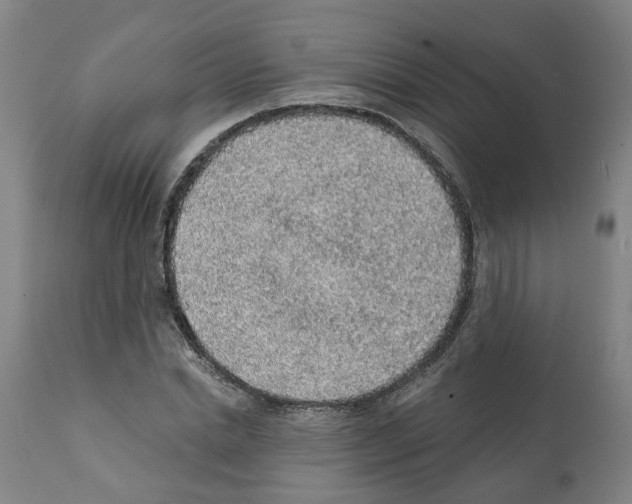 X0000112380830200909241213