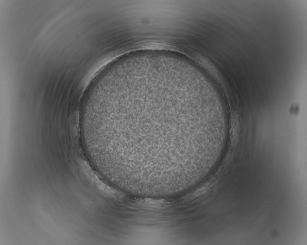 X0000112380831200909241213