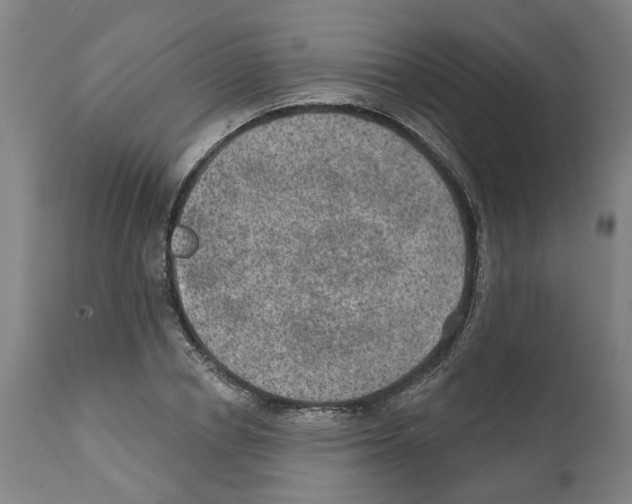 X0000112380834200909241213