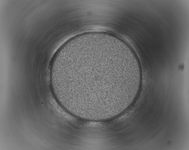 X0000112380835200909241213