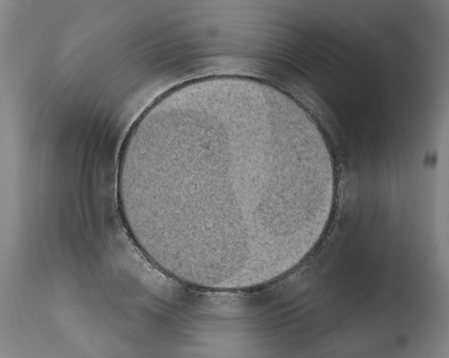 X0000112380836200909241213