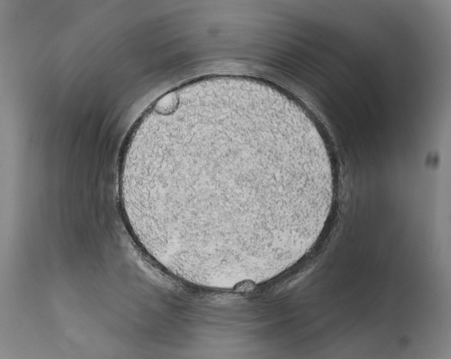 X0000112380837200909241213