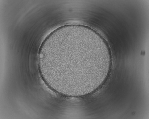 X0000112380839200909241213