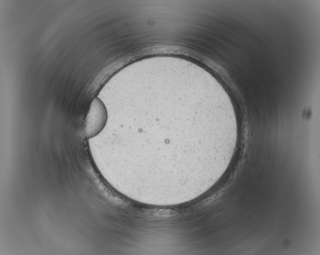 X0000112380841200909241213